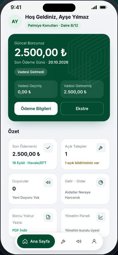 Ana sayfa: güncel borç ve özet